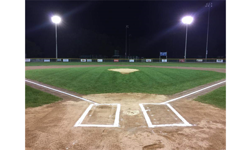 Major Field